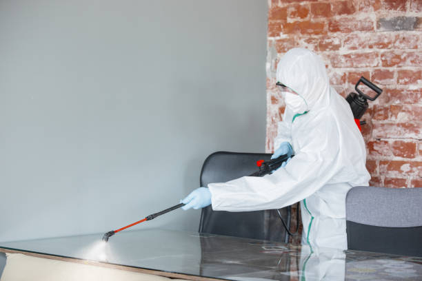 Why You Should Choose Our Mold Remediation Services in Grand Junction, CO